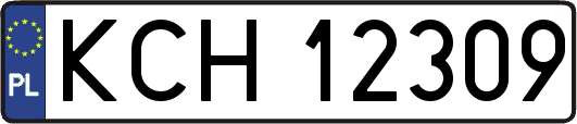 KCH12309