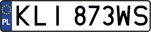 KLI873WS