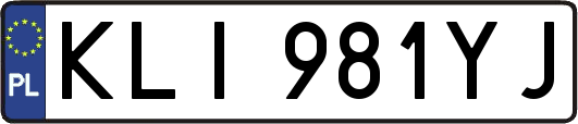 KLI981YJ