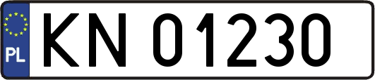 KN01230
