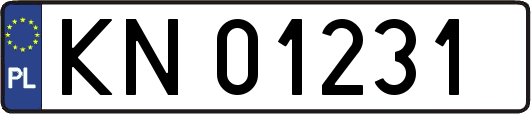 KN01231