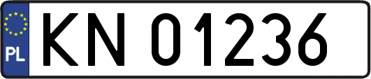 KN01236