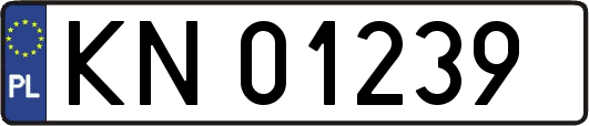 KN01239