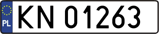 KN01263