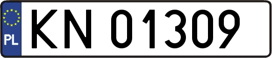 KN01309