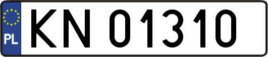 KN01310