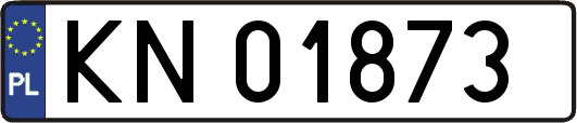 KN01873