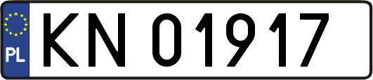 KN01917