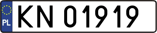 KN01919