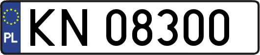 KN08300