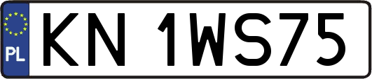 KN1WS75