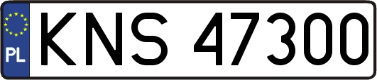 KNS47300