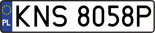 KNS8058P