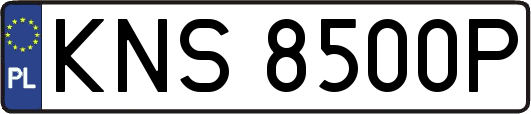 KNS8500P