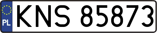 KNS85873