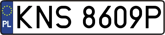 KNS8609P