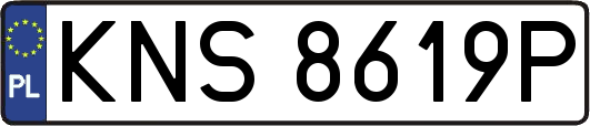 KNS8619P