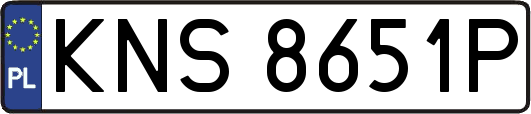 KNS8651P