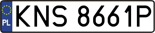 KNS8661P