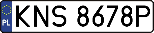 KNS8678P
