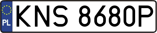 KNS8680P
