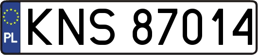 KNS87014