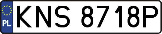 KNS8718P