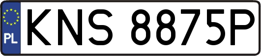 KNS8875P
