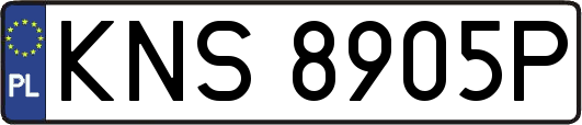 KNS8905P