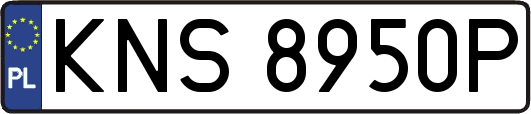 KNS8950P