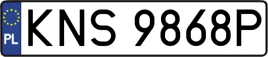 KNS9868P