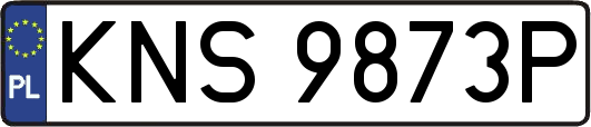 KNS9873P