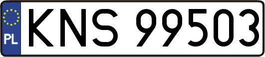 KNS99503