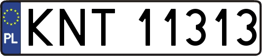 KNT11313