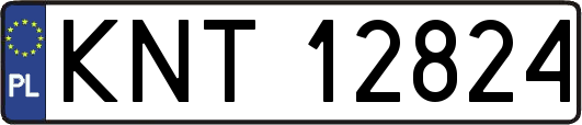 KNT12824