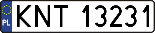 KNT13231