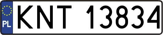 KNT13834