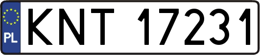 KNT17231