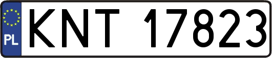 KNT17823