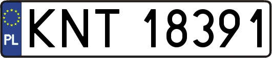 KNT18391