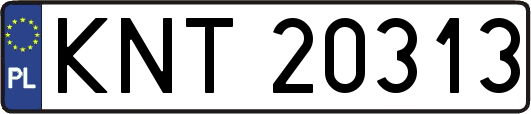 KNT20313
