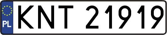KNT21919