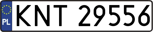 KNT29556