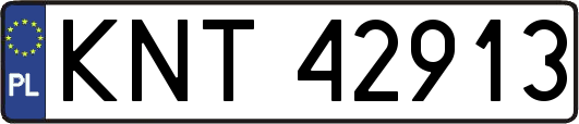 KNT42913