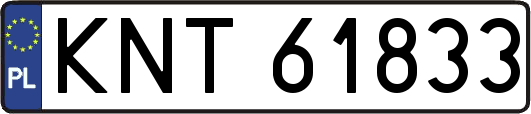KNT61833