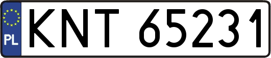 KNT65231