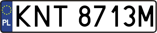 KNT8713M