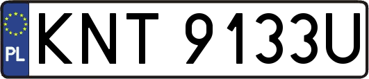 KNT9133U