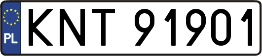 KNT91901