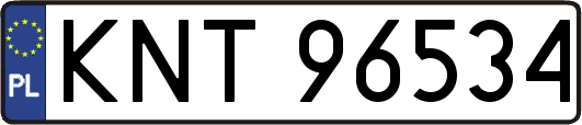 KNT96534